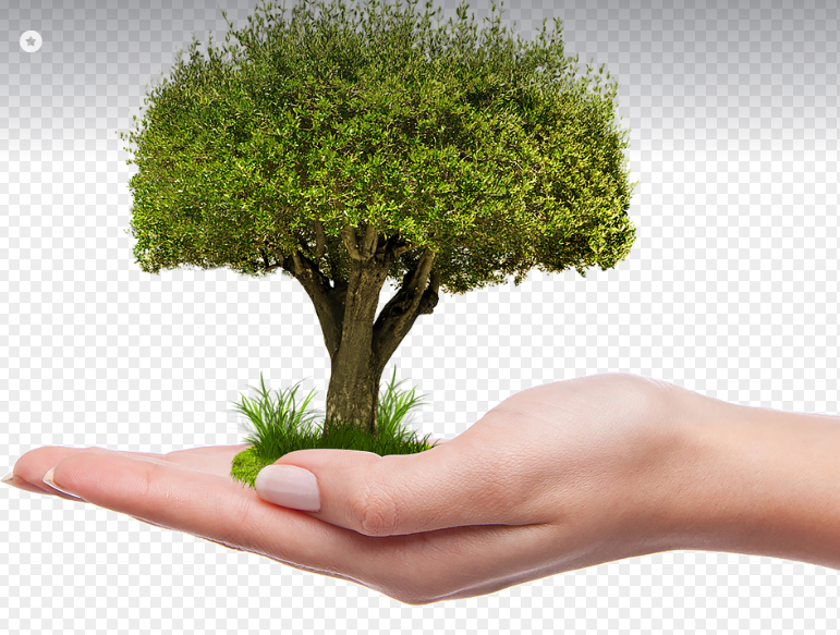 한국 기부 문화가 성장하기를 바라는 이미지