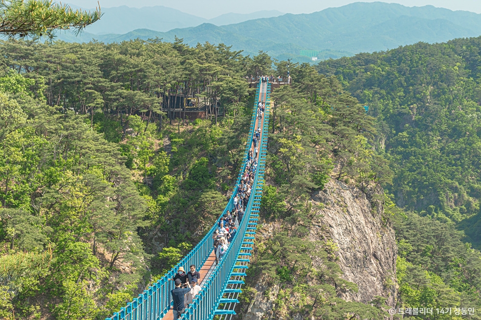 소금산 그랜드밸리: 스릴 만점 출렁다리