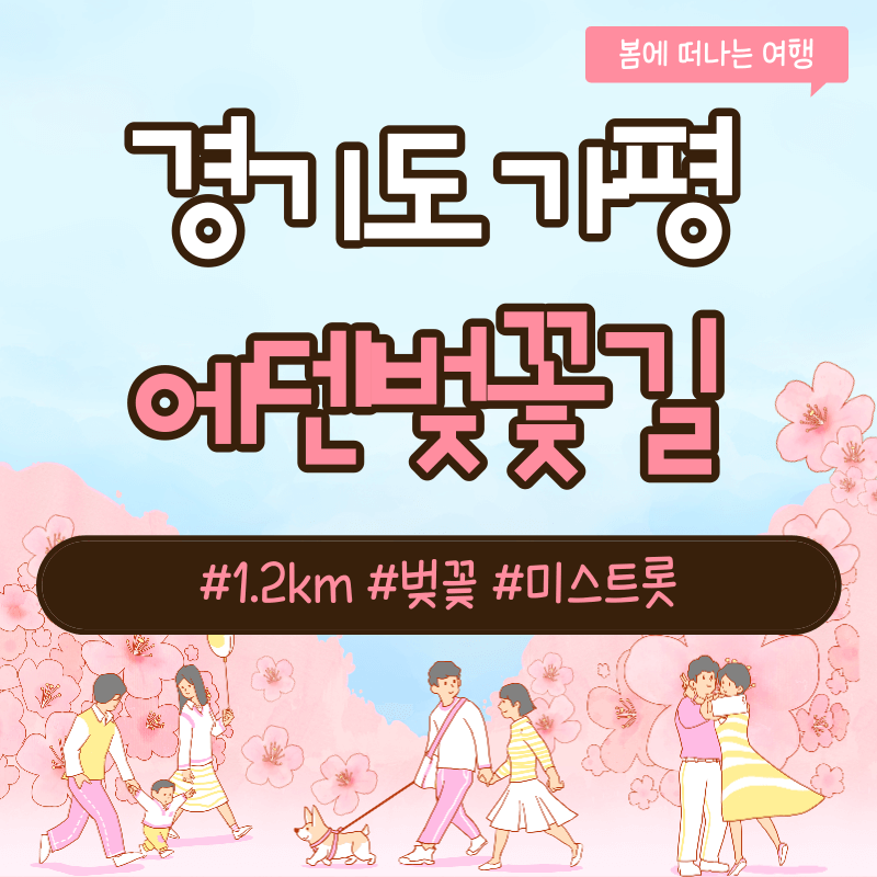 가평 에덴벚꽃길 벚꽃 축제