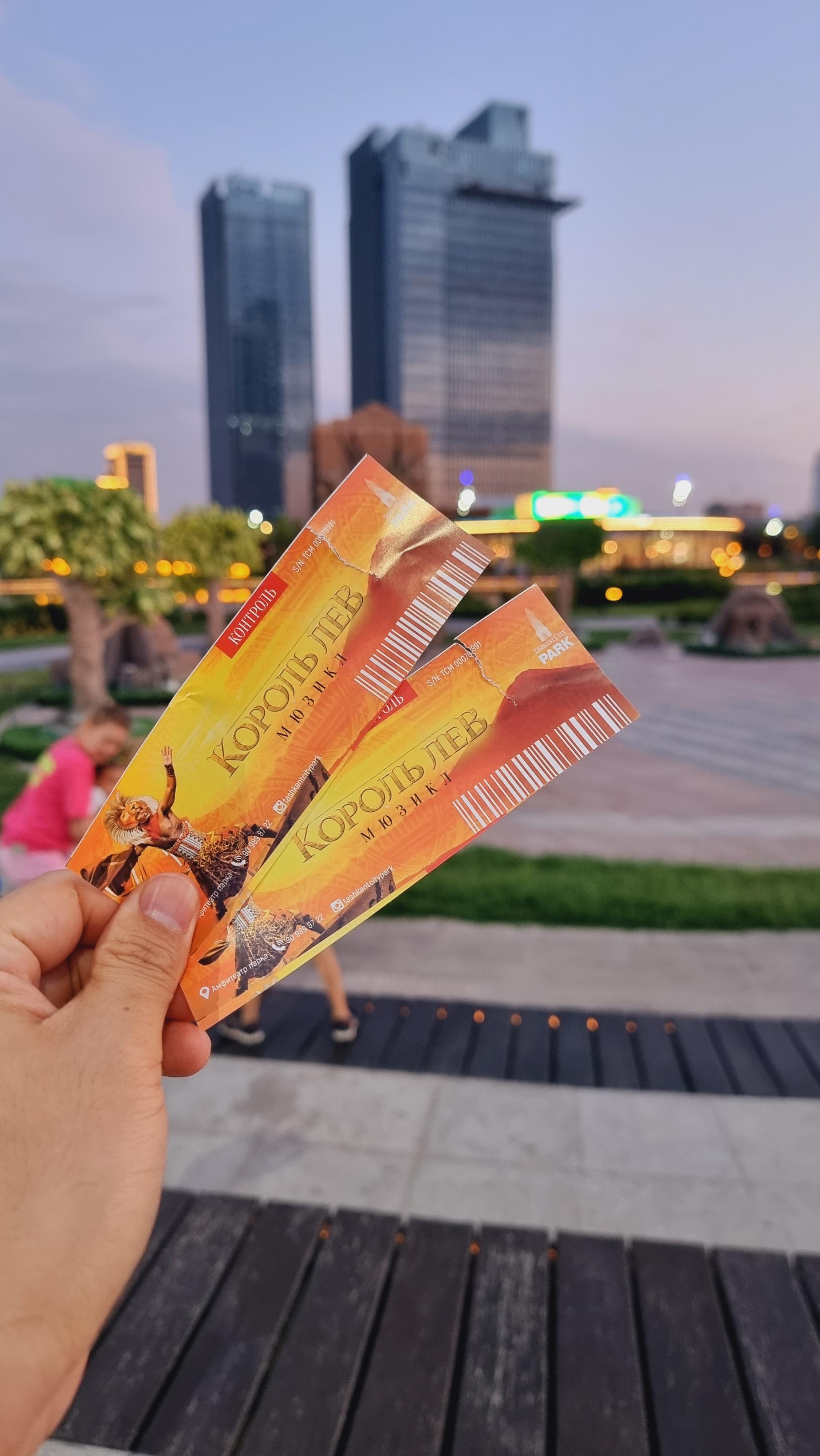 라이온킹 야외공연 티켓