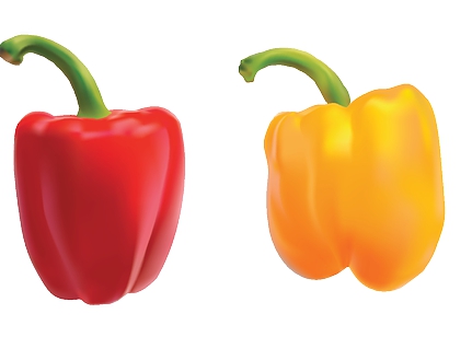 강아지 파프리카