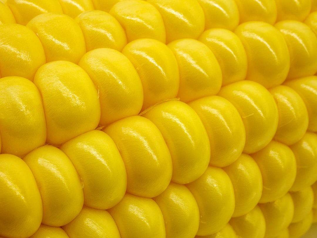 Corn