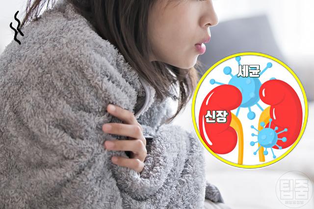 요로감염 증상 고열 오한 몸살