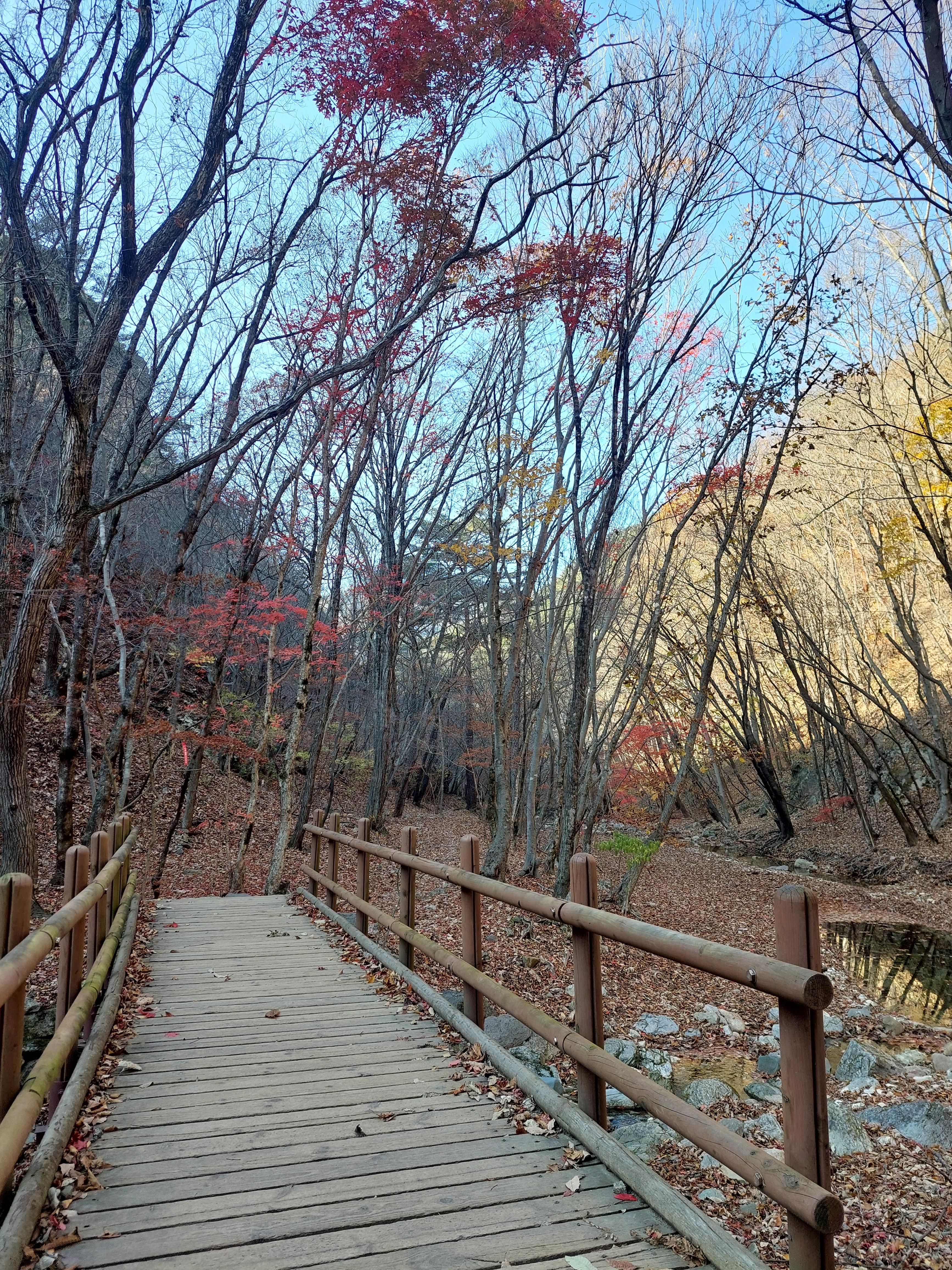 주왕산