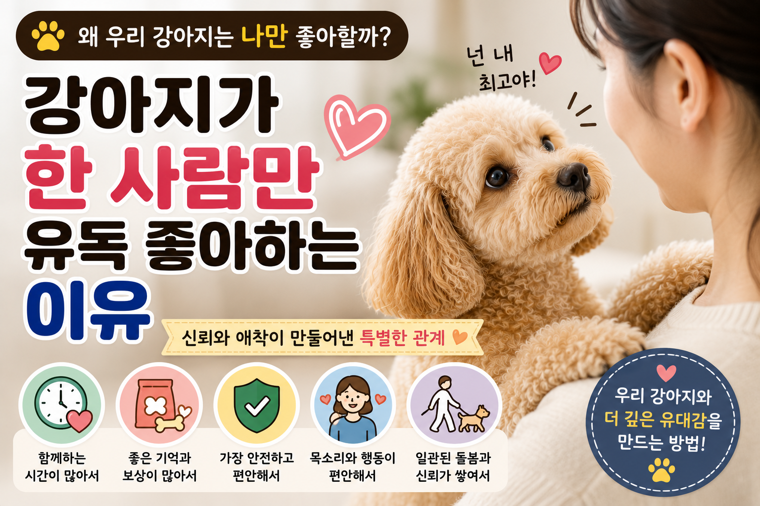 강아지가 한 사람만 유독 좋아하는 이유|보호자를 특별하게 따르는 7가지 이유