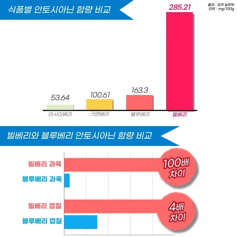 비문증영양제