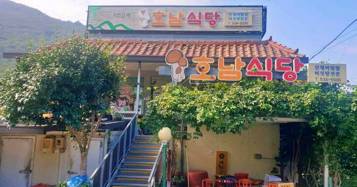 생방송투데이 해남 두륜산 산채정식 맛집