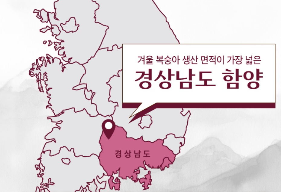 6시내고향-함양-설도-겨울복숭아-주문