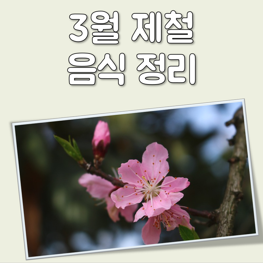 3월 제철 과일, 나물, 해산물, 회, 생선 간단 정리