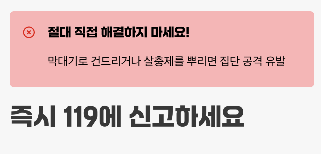 만약 벌집을 발견했다면?