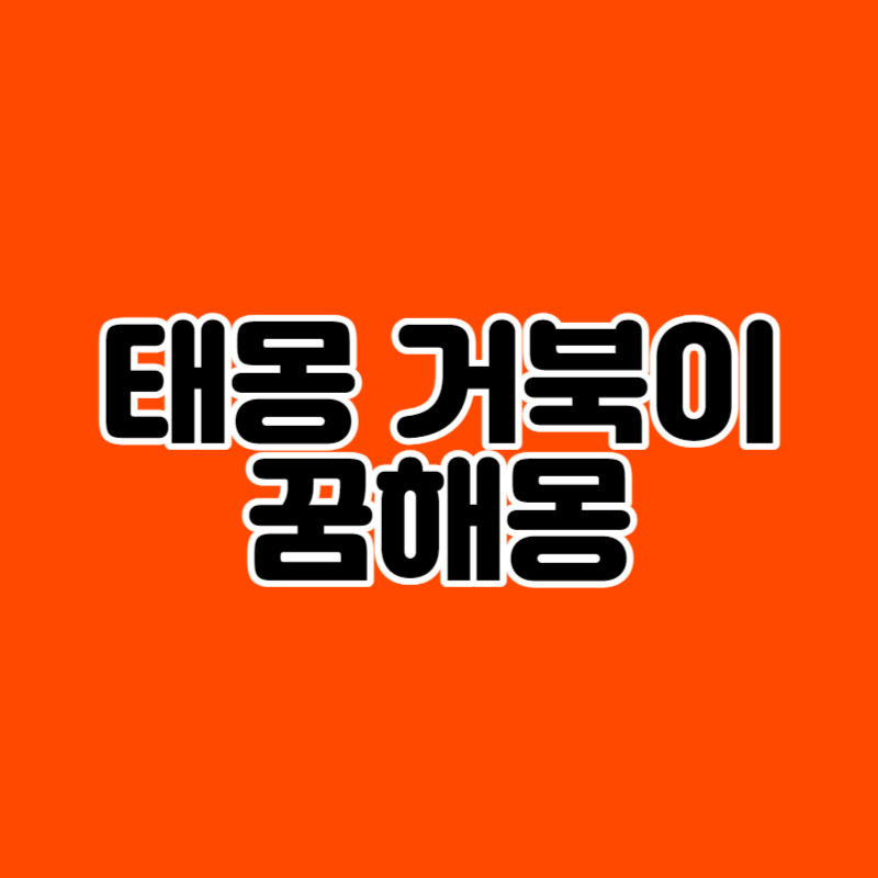 태몽 거북이 꿈해몽