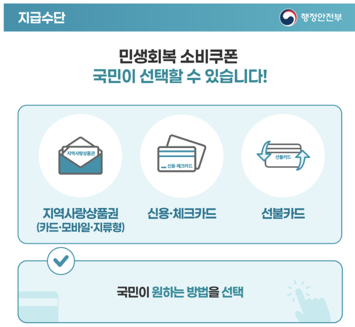 민생회복 소비쿠폰 지급수단