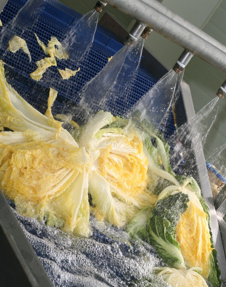 괴산 절임배추20kg 가격비교 카드할인혜택