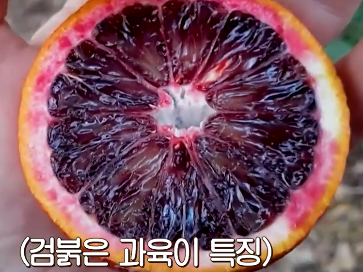 모로실