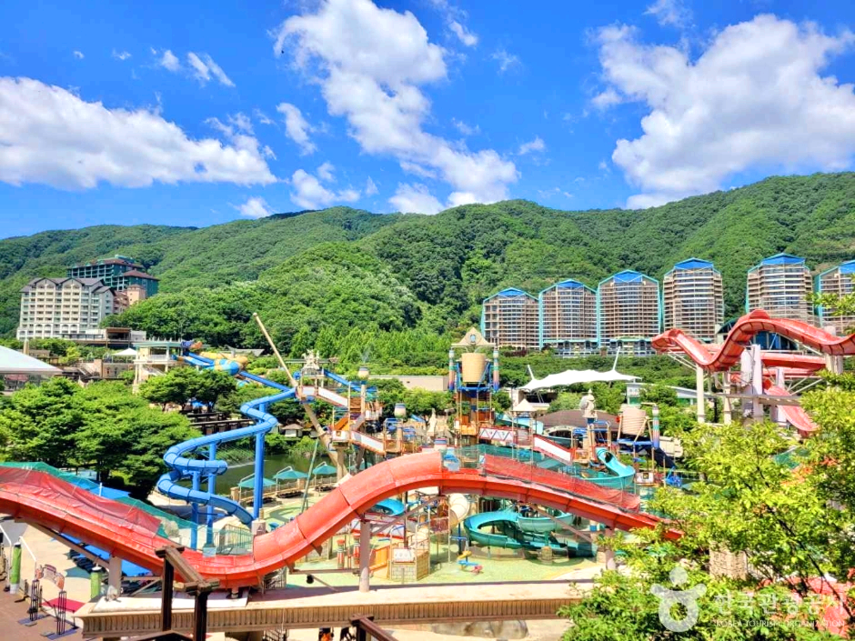 비발디파크 오션월드