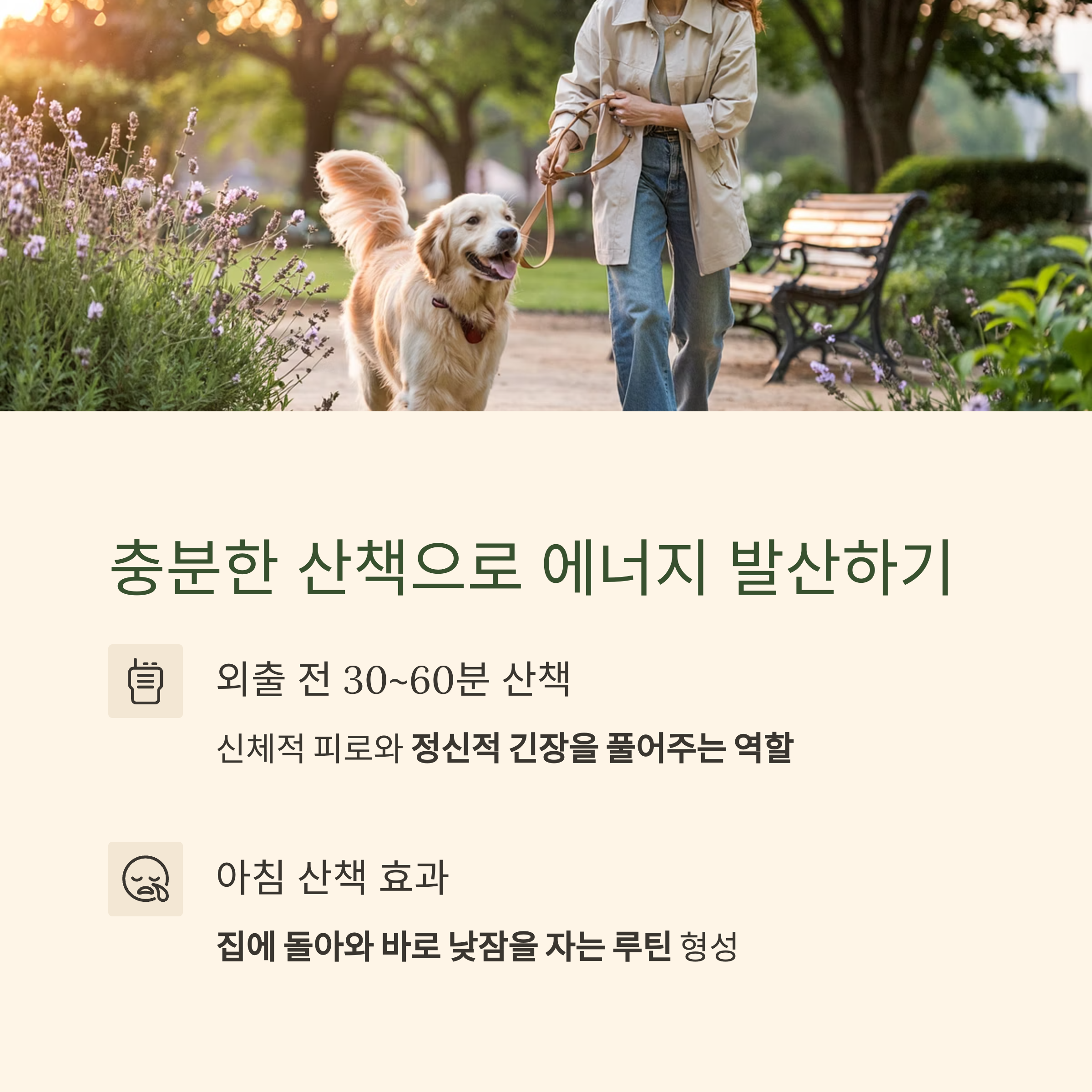 충분한 산책