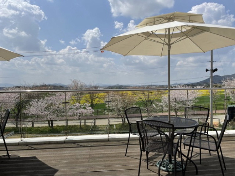 보리나라 학원농장