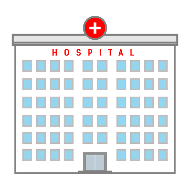 병원 동행 매니저 자격증 발급비용