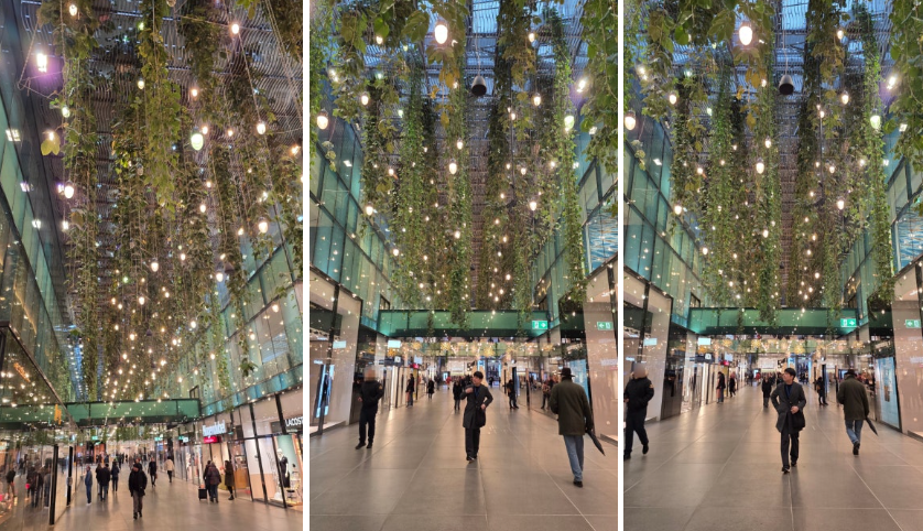 뮌헨 : 3시간 만에 끝내는 시티투어 도보 코스