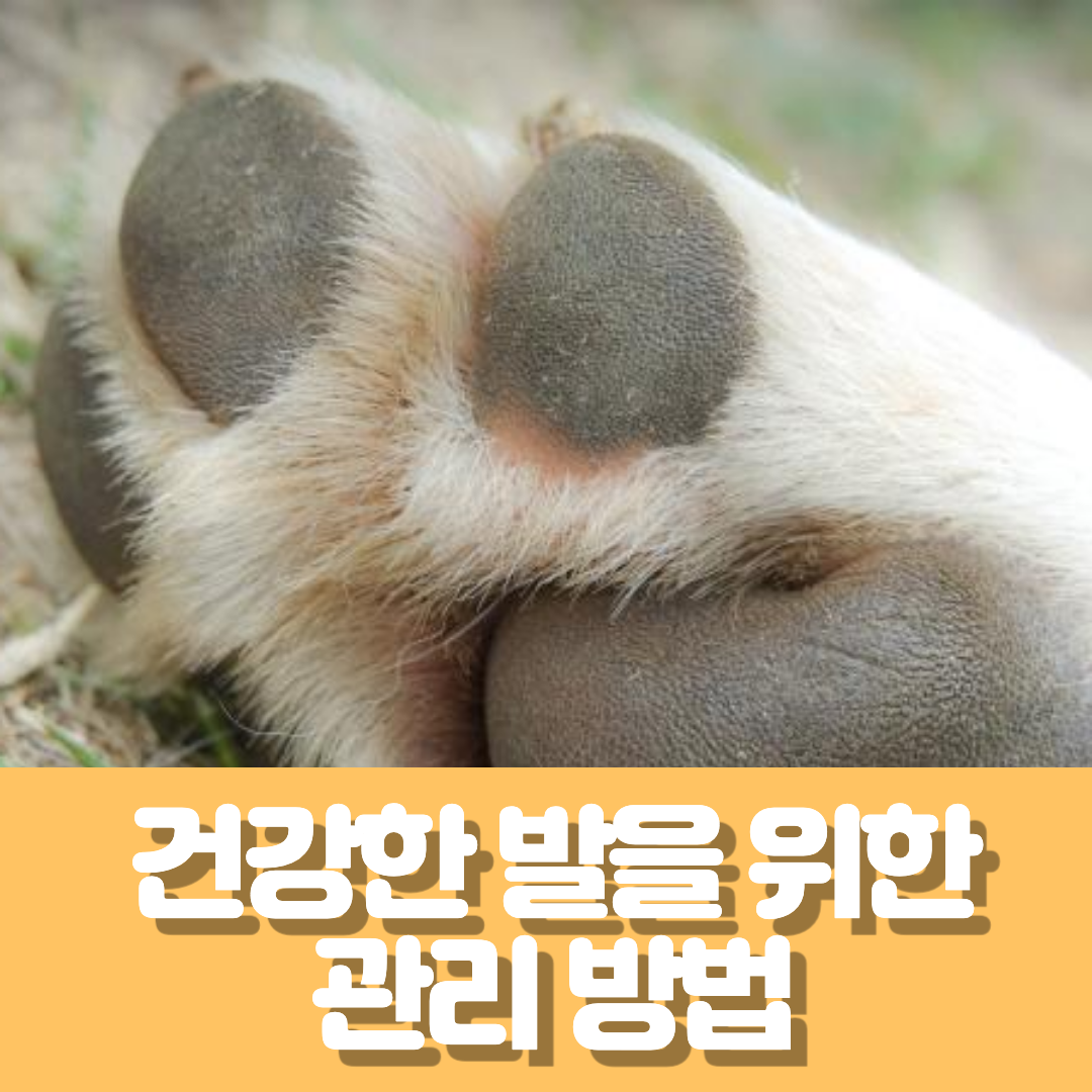관리방법