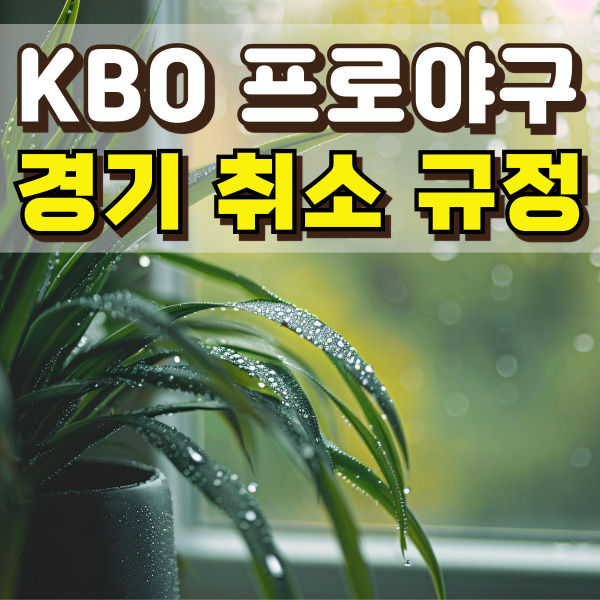 창밖에 비가 오고 있어요.