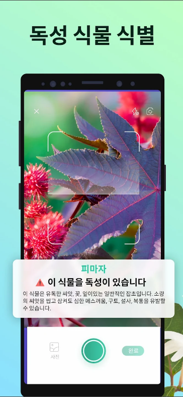 PictureThis&#44; 꽃 & 식물 찾기