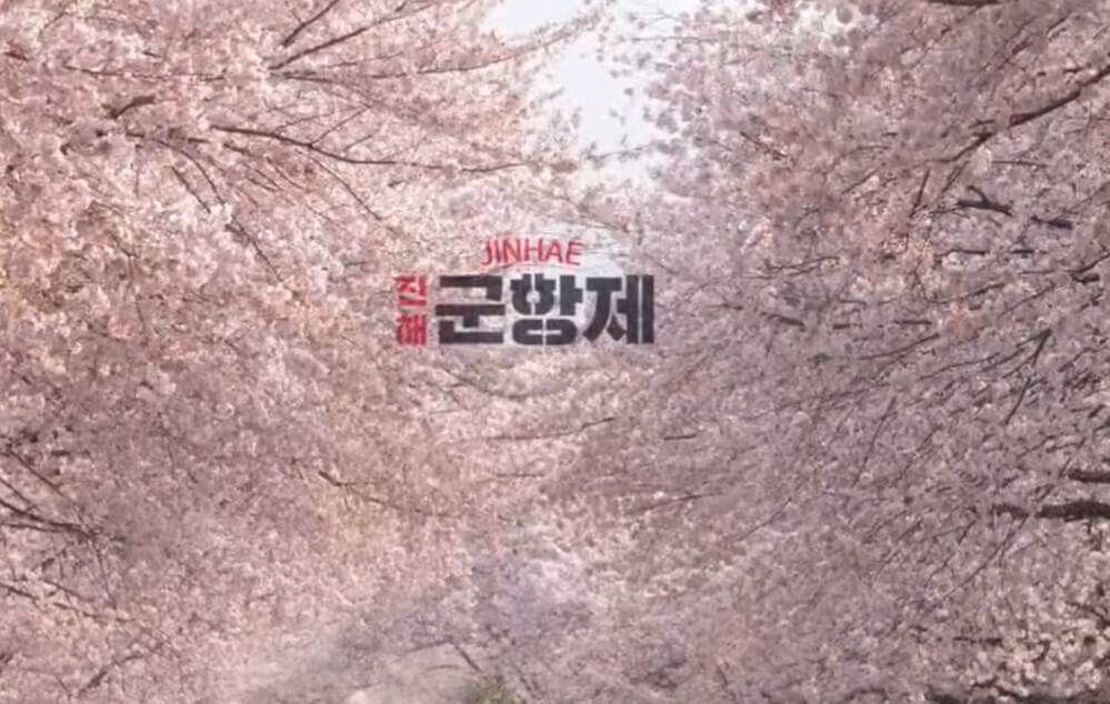 진해군항제, 페스티벌 및 주차안내를 정리했습니다. 축제가 생각보다 매우 큰 행사이고 프로그램도 아주 많아요~ 지금 벚꽃이 필 무렵 진해군항제 행사를 하니 더욱 빛을 바랍니다. 주차장과 대중교통 셔틀버스까지 정리했으니 참고하시기 바랍니다.