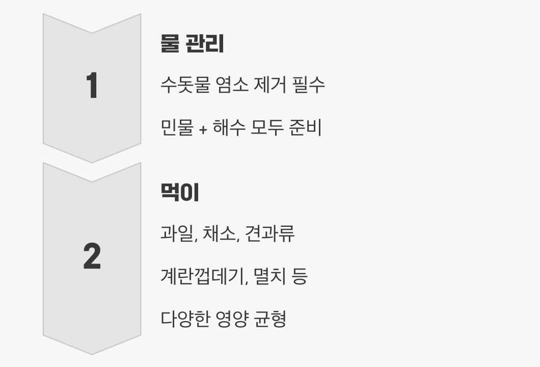 둘째, 물과 먹이에도 정성이 필요해요
