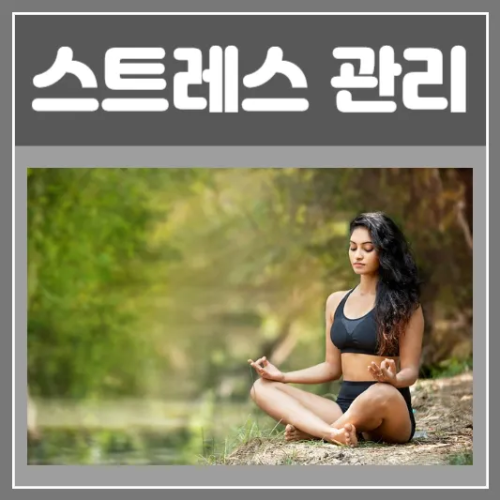 스트레스 관리-건강과 웰빙을 위한 철저한 안내서