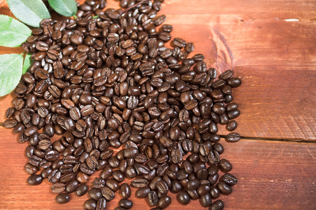 한국 바리스타 영화 국내 청춘 성장기