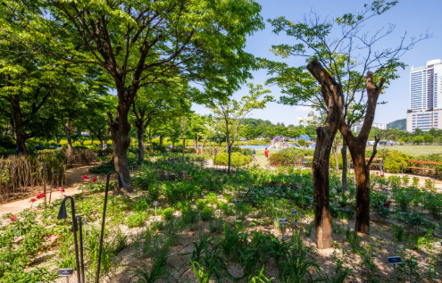 서울국제정원박람회 완벽가이드