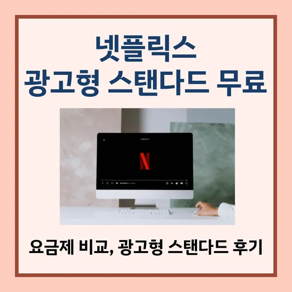 넷플릭스 광고형 스탠다드 후기