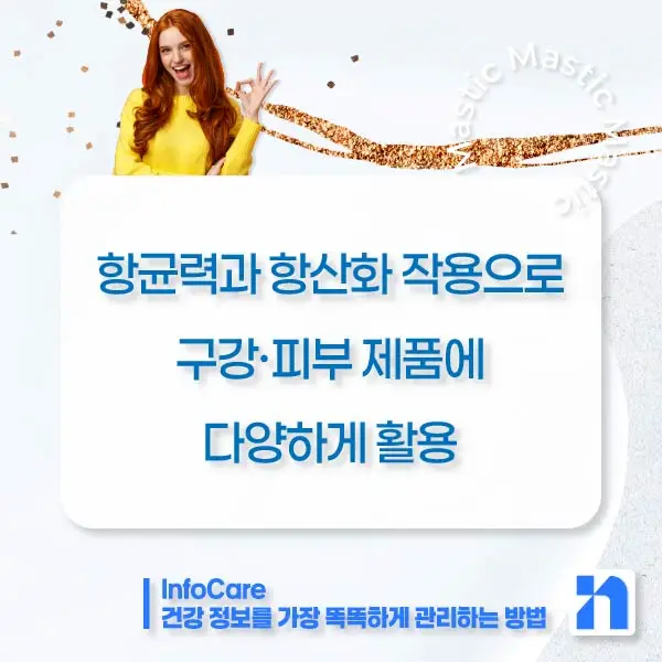 매스틱 효능 복용법 매스틱검