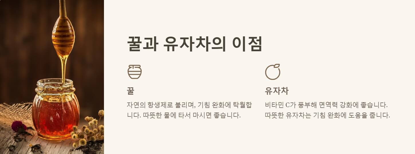 만성기침에 좋은 음식