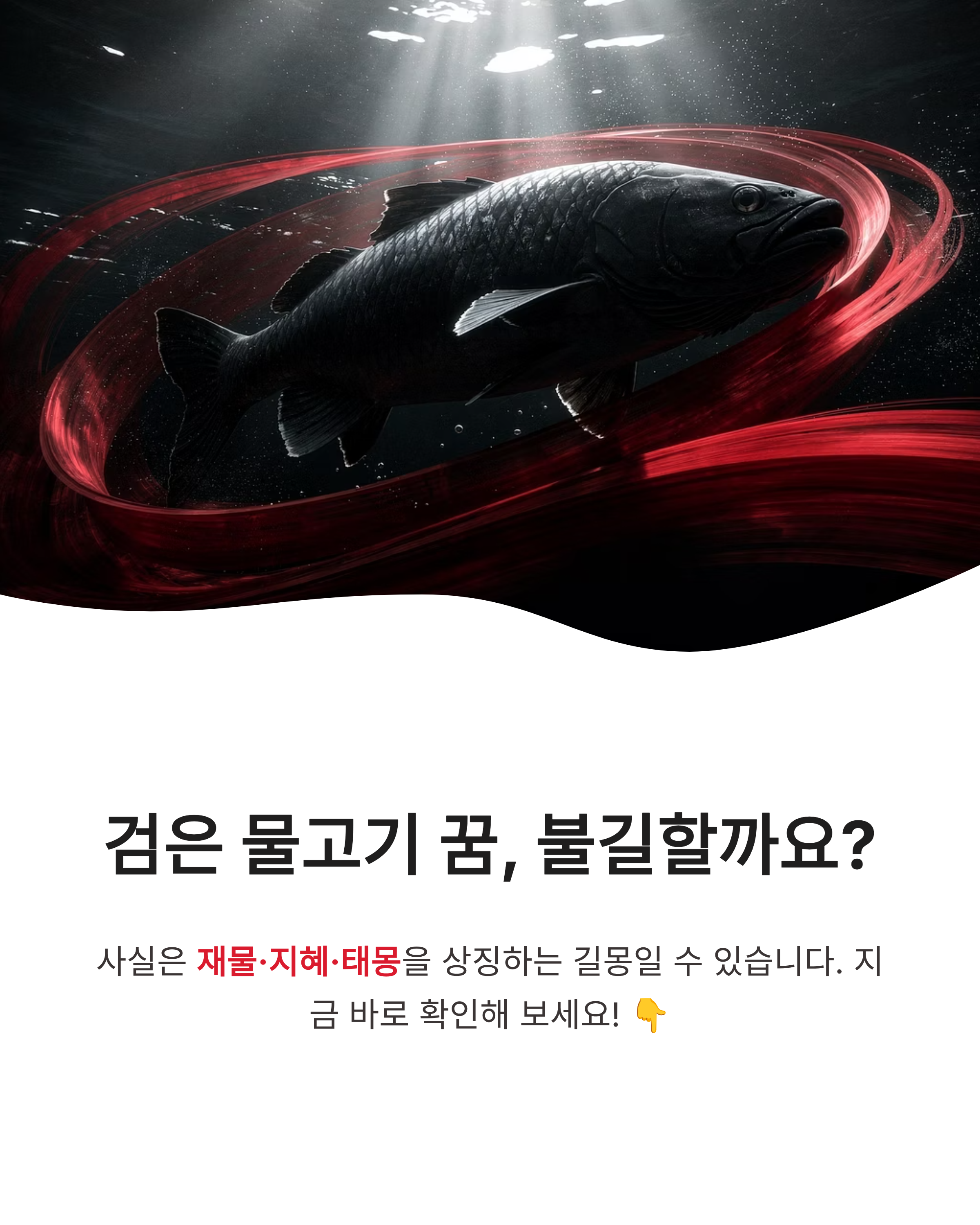 검은 물고기 꿈 해몽, 검은 물고기 태몽, 검은 물고기 꿈 요약 및 운세 가이드