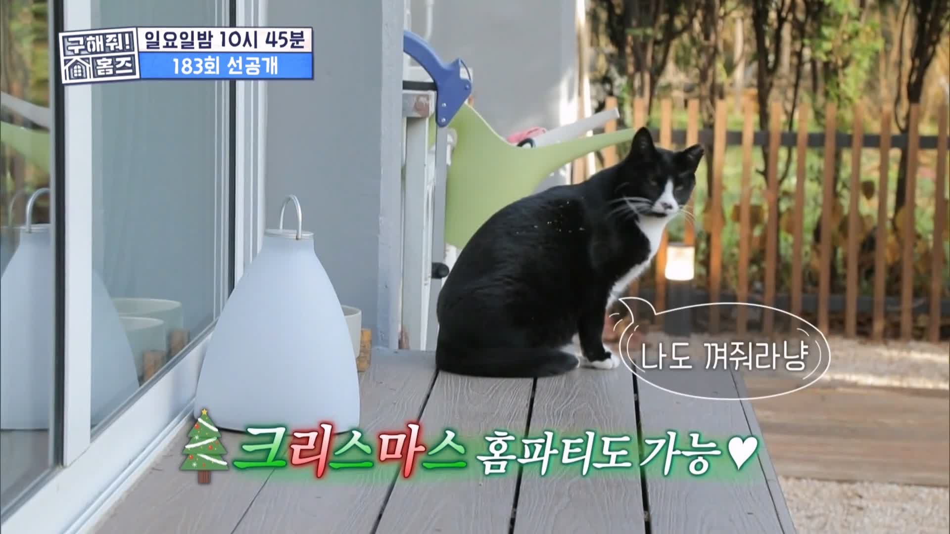 구해줘홈즈 용인시 수지구 성복동 겨울연가든 아파트 APT 인테리어 리모델링 파도파도 홈서핑 성탄 특집 소개