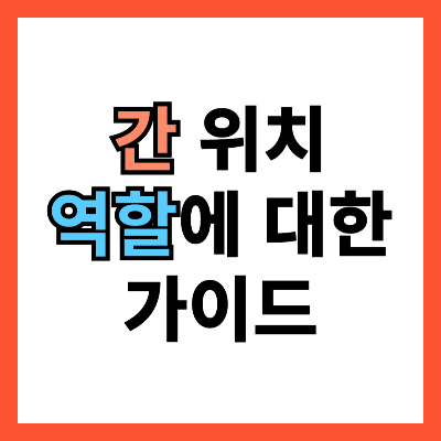 간 위치와 역할에 대한 상세 가이드