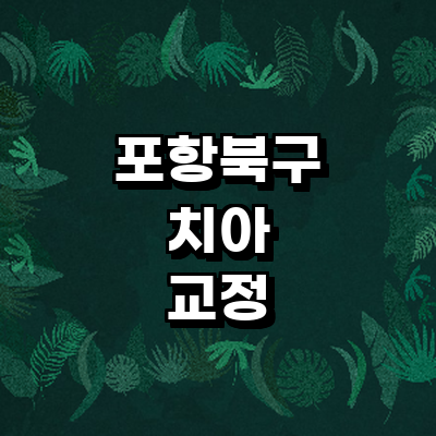 포항시 북구 교정 치과