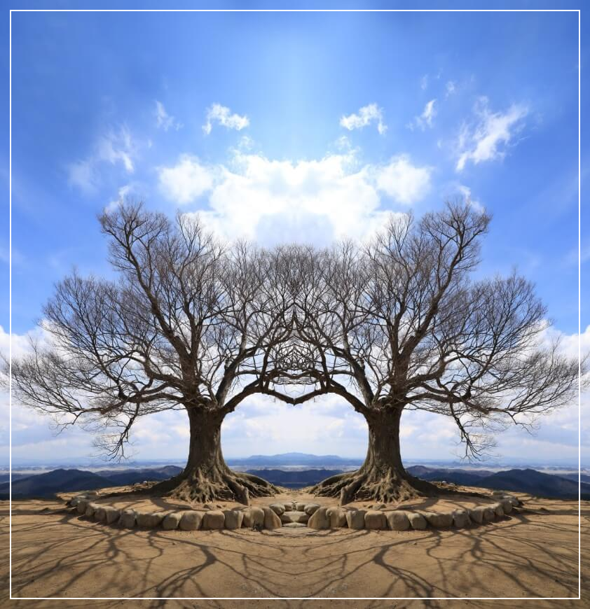 부여 가볼만한곳 베스트10 성흥산 사랑나무