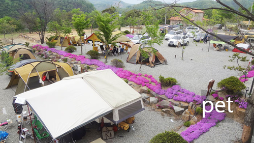 경기-연천-나린오토캠핑장-예약-방법-애견-동반-가격-주소-시간-후기