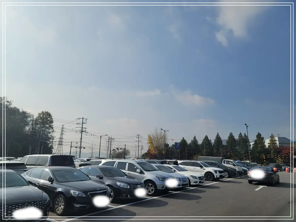 반계리-은행나무-주차장-전경