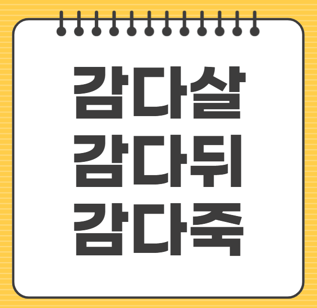 감다살 뜻 느좋 뜻 유래 감다뒤 감다죽 MZ신조어 퀴즈 해석