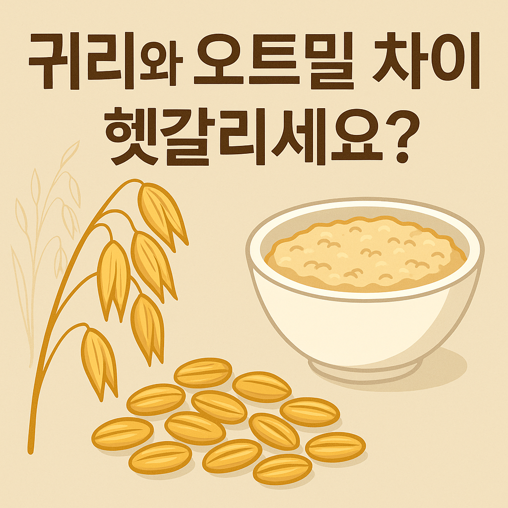 귀리와 오트밀 차이
