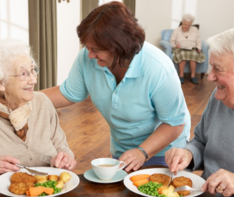 노인장기요양보험 등급판정