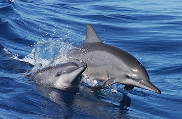 괌액티비티추천