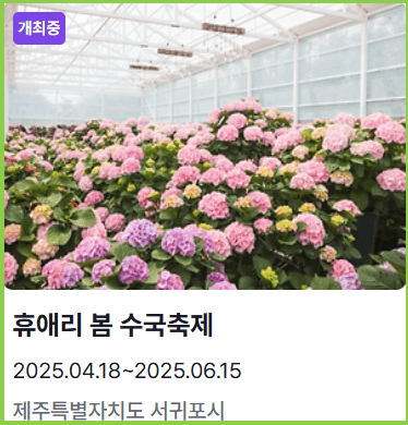 휴애리봄수국축제