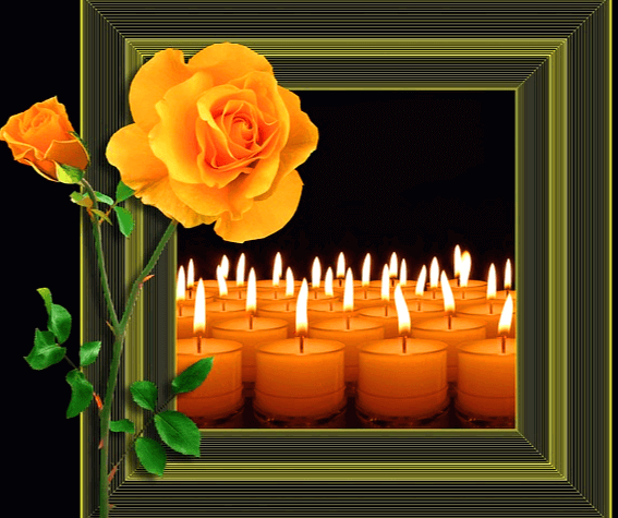액자 안에 촛불이 있는 주황색 양초들이 가득하다. 왼쪽에는 커다란 주황색 장미가 두송이 있다. 패션적인 액자다.