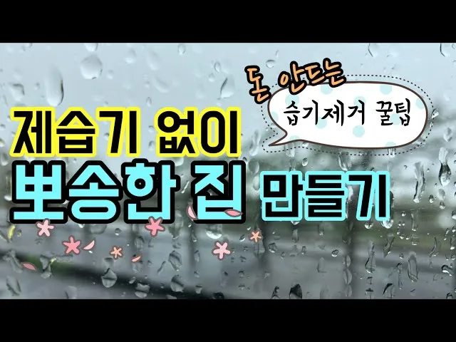 제습기 없이 습기 제거 끝 숯 염화칼슘 등 천연 제습제 활용법 완벽 가이드_6