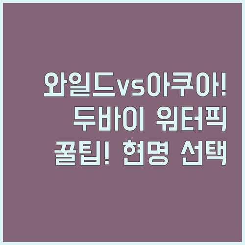 두바이 워터파크 와일드 와디 아쿠아벤..