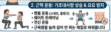 내장지방 빼는법